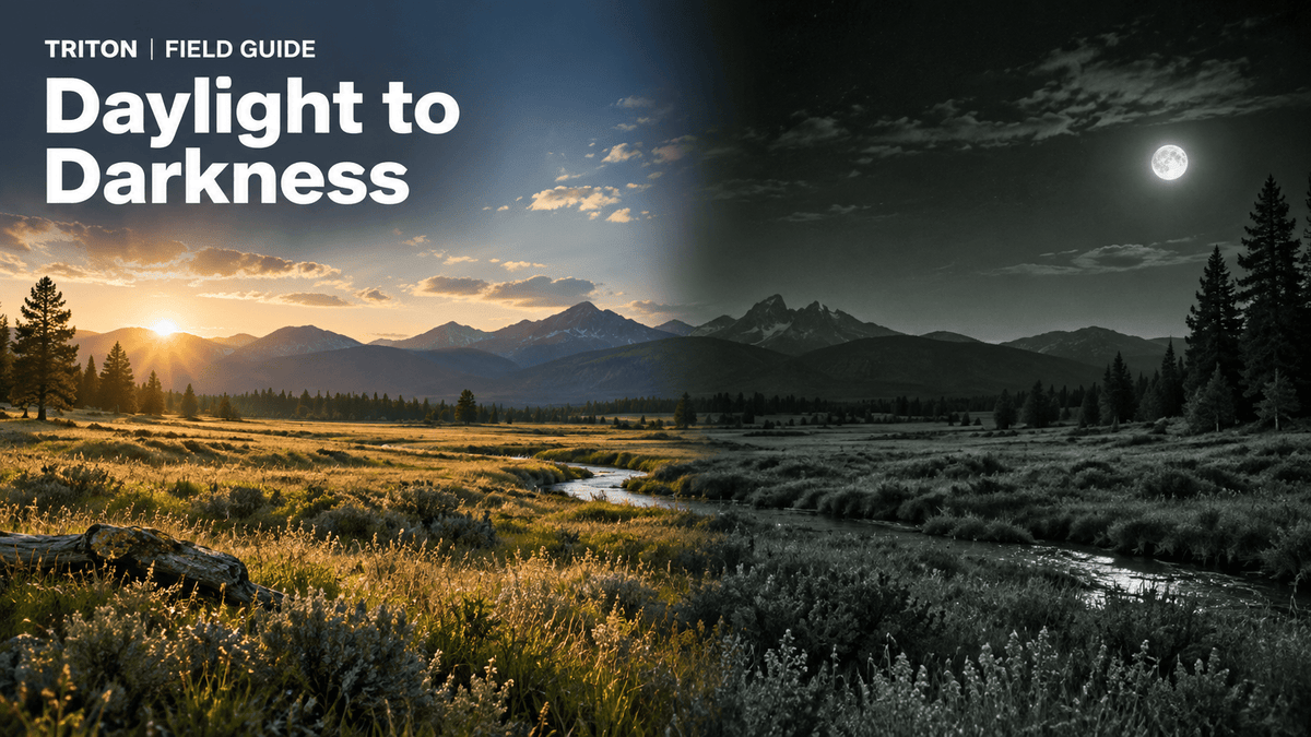 Can You Use a Digital Night Vision Scope During the Day? - Triton