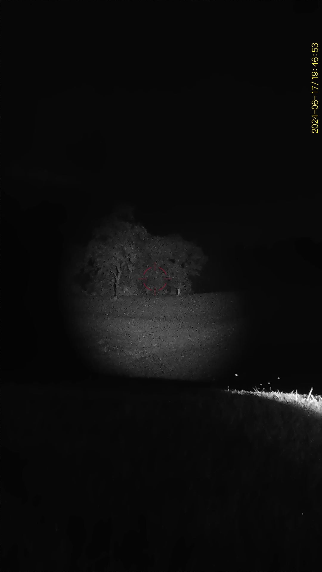 NV @ 300 Yards. Vertical aspect ratio for mobile upload optimization.