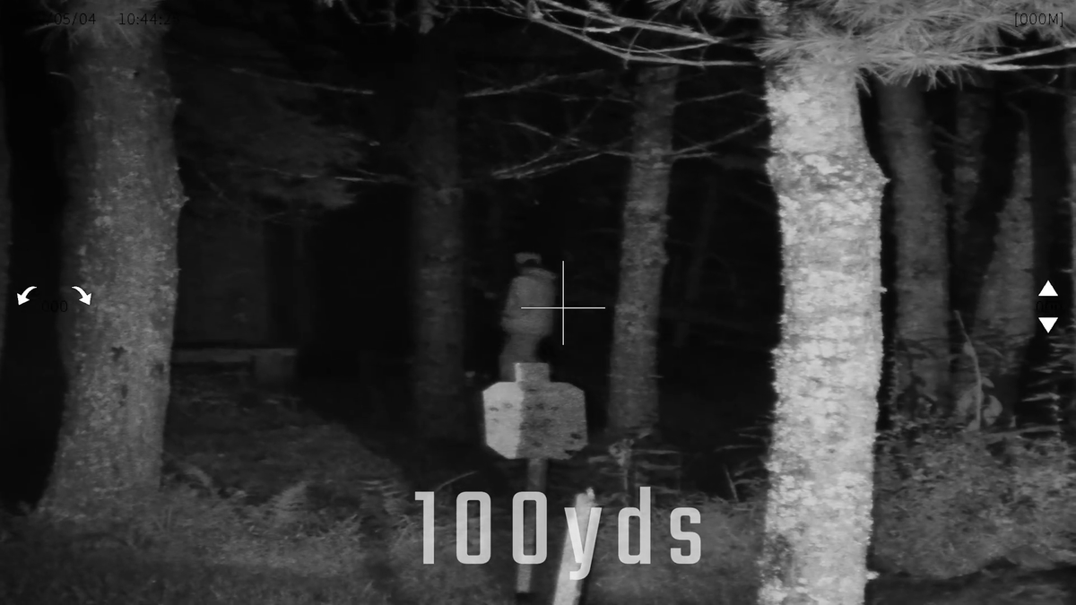 Night vision footage at 100 yards through a Triton StarStrike scope